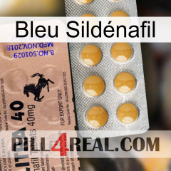 Bleu Sildénafil 41